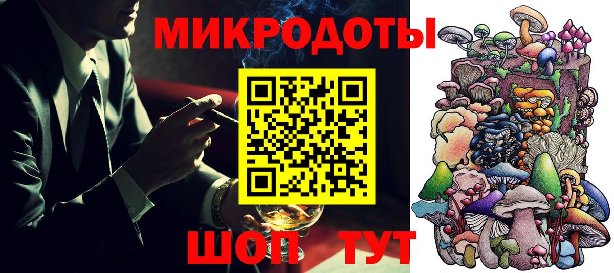 Псилоцибиновые грибы Psilocybe Топки