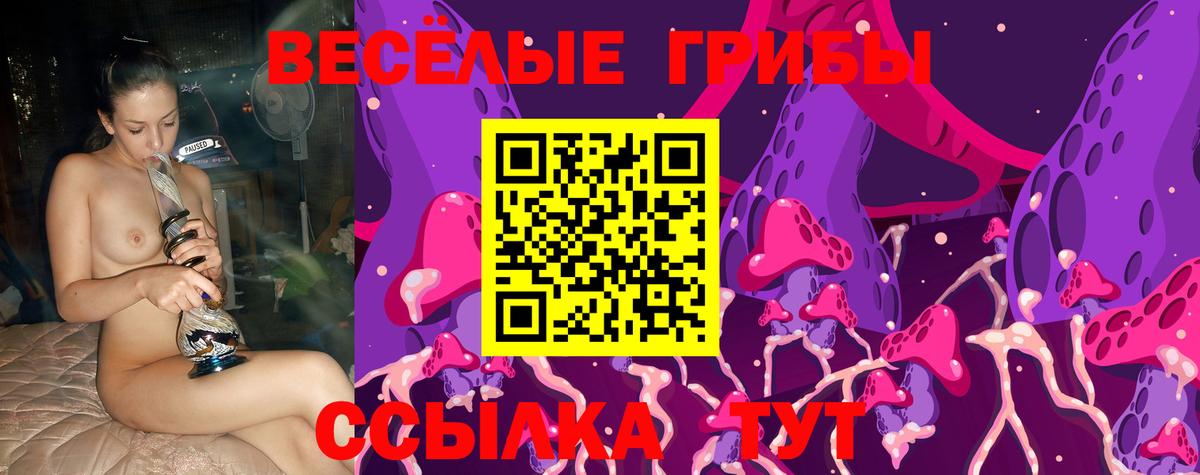 Галлюциногенные грибы мухоморы  Галлюциногенные грибы ЛСД  Топки  Вход с VPN 